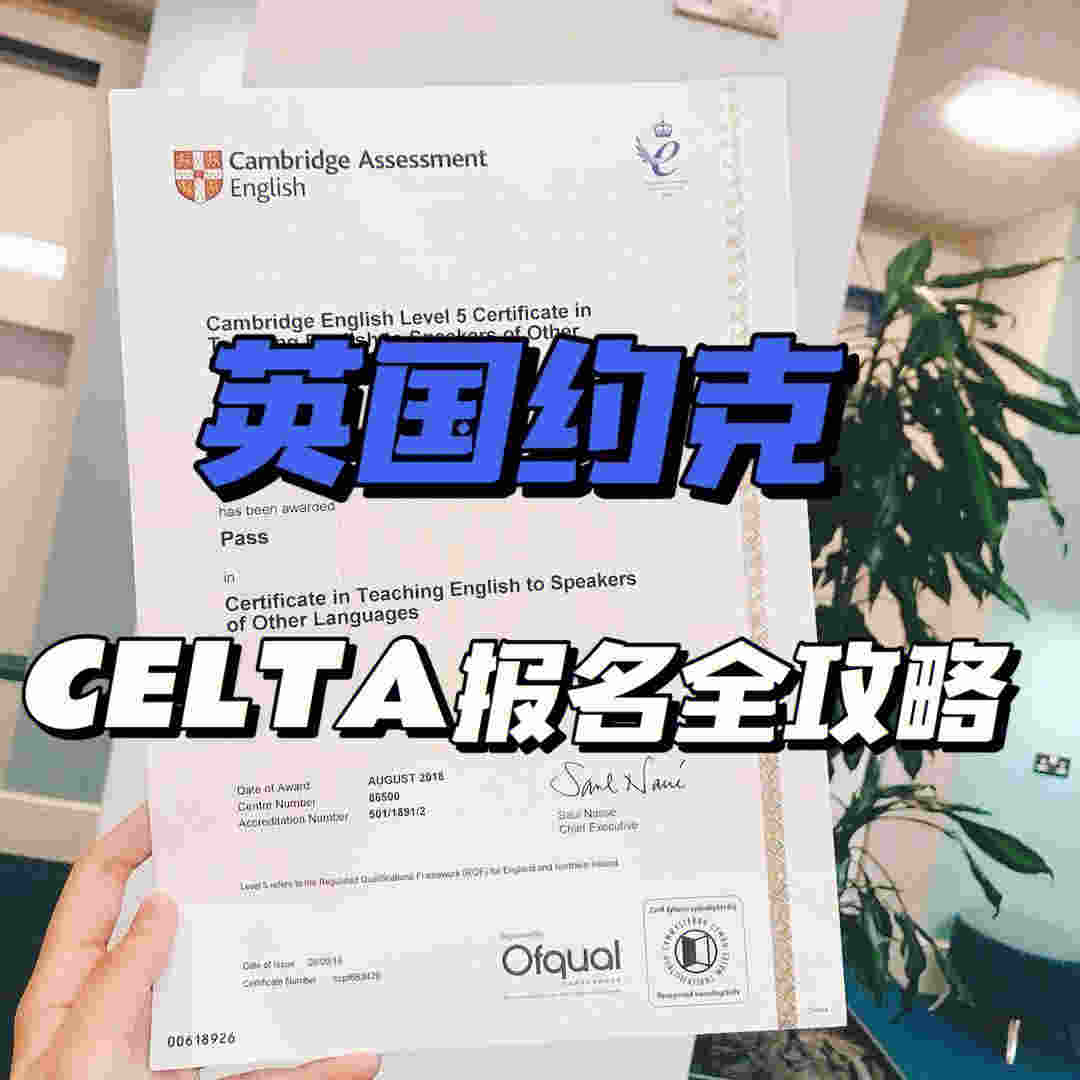 約克官網中文網(約克comfort+)-第1張圖片-番響電子煙