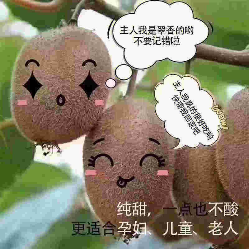 綠果清新，柚子煙彈西瓜藍莓口味實力悄悄上線的簡單介紹-第2張圖片-電子煙煙油論壇