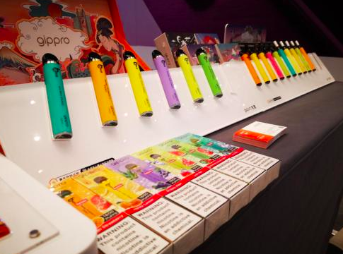 電子煙與兒童學業表現的關聯研究-第2張圖片-電子煙煙油論壇