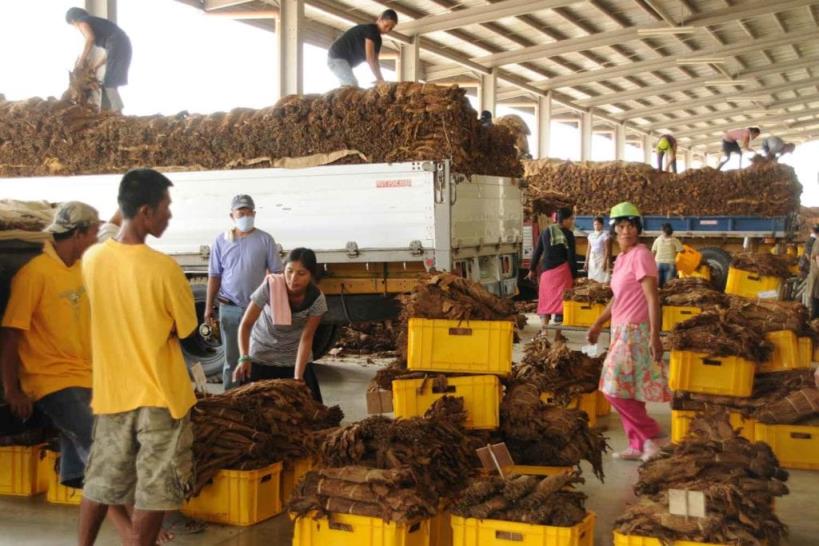 頭條！安徽煙草新商盟網上訂貨“后來居上”