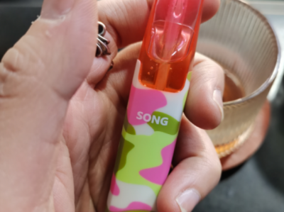 SONG 崧鴨嘴獸西瓜味電子煙：清爽口感的高分之選