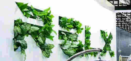 悅刻一個月內市值蒸發近300億美元，電子煙第一股不香了嗎？