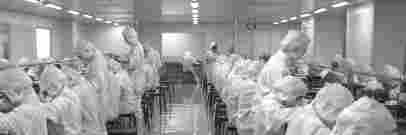 北極豚，北極豚電子煙，北極豚電子煙官網