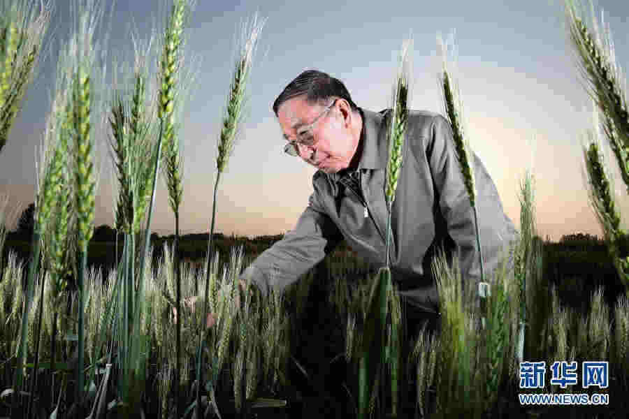 創新中國——70年中國面貌變遷述評之二