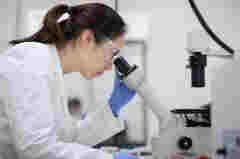 如何用科學家的創新精神造就喜霧電子煙？