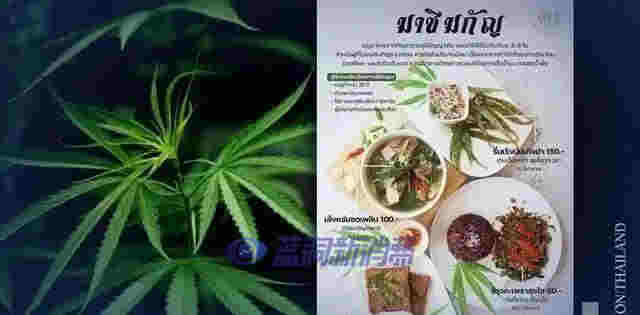 泰國專家稱：到2025年，大麻可為泰國制藥業創造80億泰銖的收入 