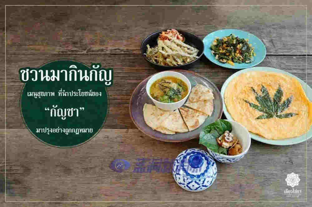 泰國專家稱：到2025年，大麻可為泰國制藥業創造80億泰銖的收入 