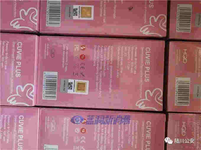 廣西陸川查獲3萬支假電子煙：價值400余萬，抓獲嫌犯2名 