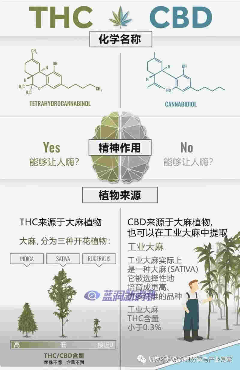 HNB浪潮下的新機遇？日本市場推出新型加熱不燃燒茶葉棒“CBD HEAL” 