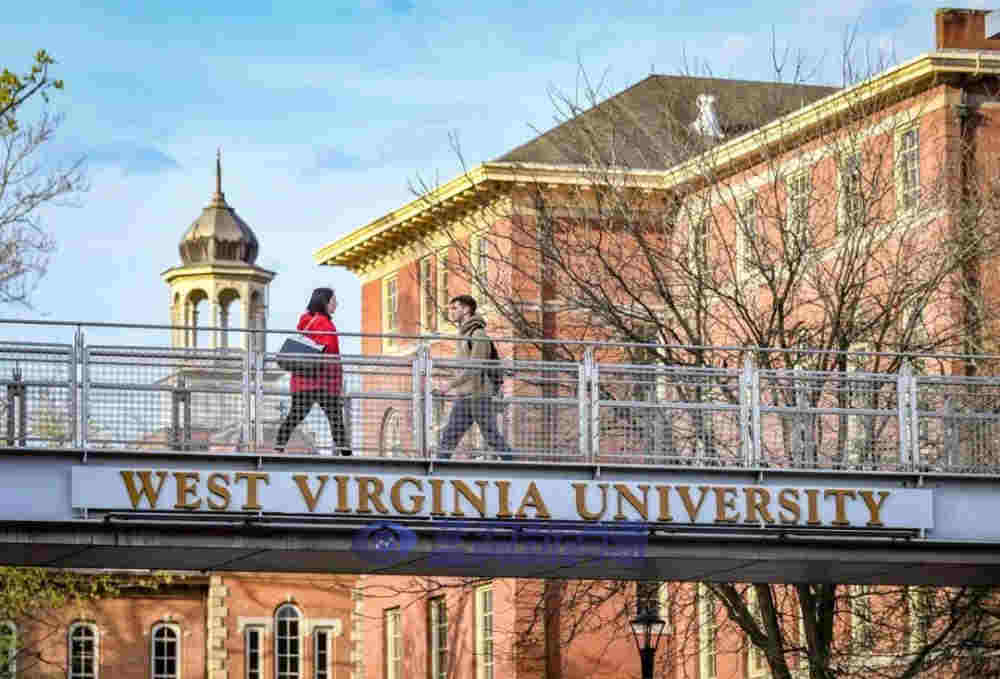 美國開始研究霧化產品對孕婦的長期影響 