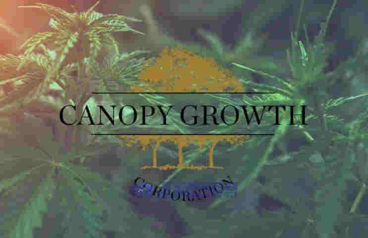 剛剛，墨西哥正式通過大麻合法化，成為全球第三個大麻完全合法化的國家！ 