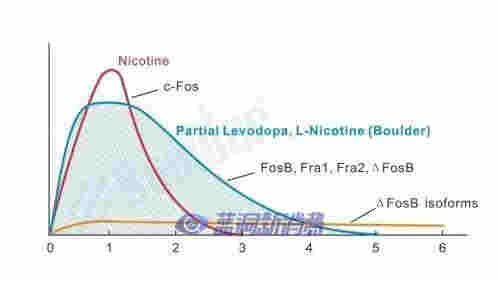 鉑德新品首發：插畫印象版KATE Graffiti，潮流視覺，全新升級 