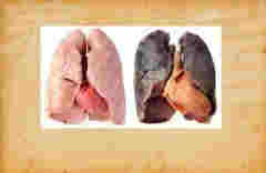 如果時光倒流，我永遠不會成為一個吸煙者。