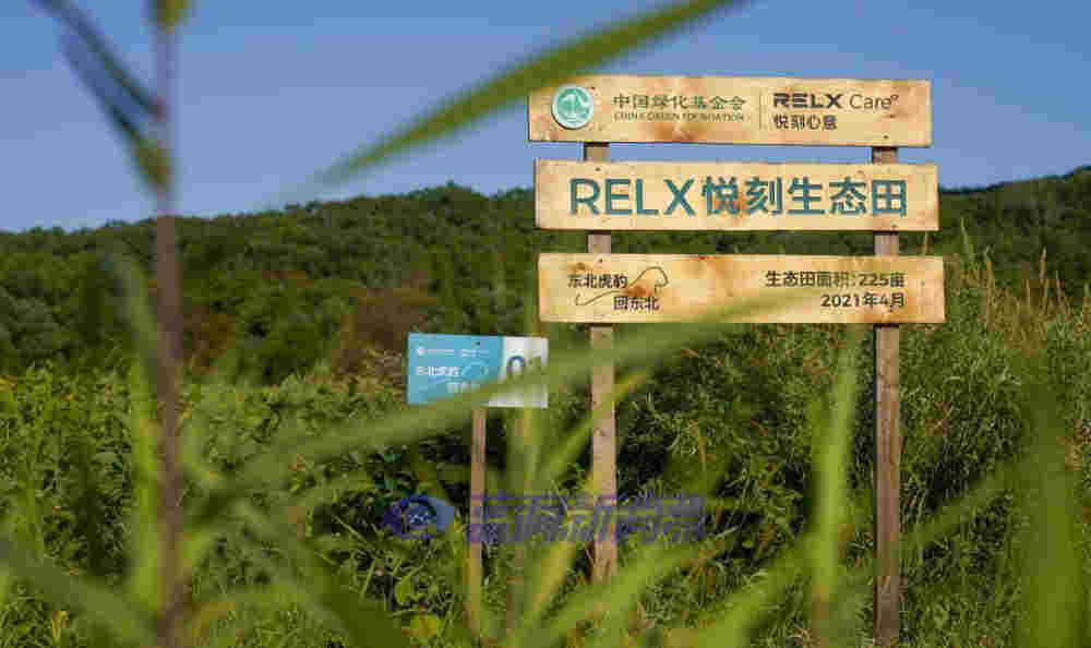RELX悅刻發布年度社會責任報告，4大亮點值得關注 