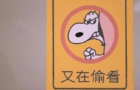 修正電子霧化器西瓜_修正電子霧化器可以用其他煙彈