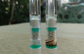 電子霧化器濾嘴燒了(電子煙霧化器燒糊了還可以用嗎)