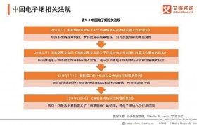 國內有電子煙買嗎？真正的國內電子煙龍頭