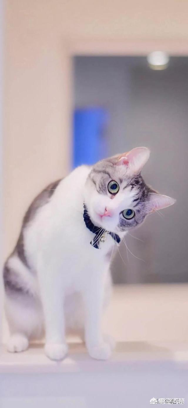 悅客電子煙怎么修？悅刻電子煙怎么樣