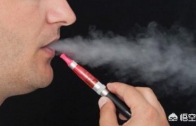 電子煙霧化器 結構_電子煙霧化器結構圖主要構造