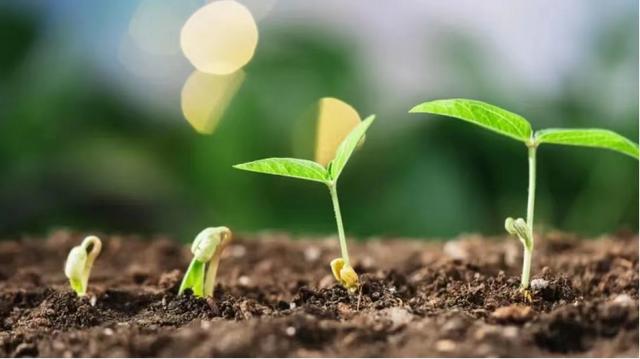 電子煙保險公司  保險公司,只有電子保單可以嗎