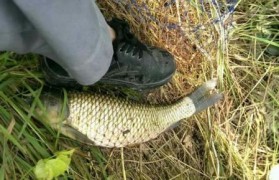 電子煙霧化器 變味，霧化器是電子煙嗎