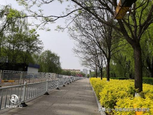 speed是什么電子煙？speed blue是什么煙