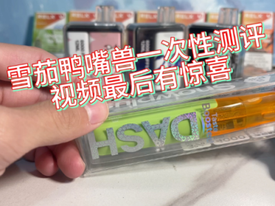 雪加鴨嘴獸電子煙：顏值與性能的完美邂逅